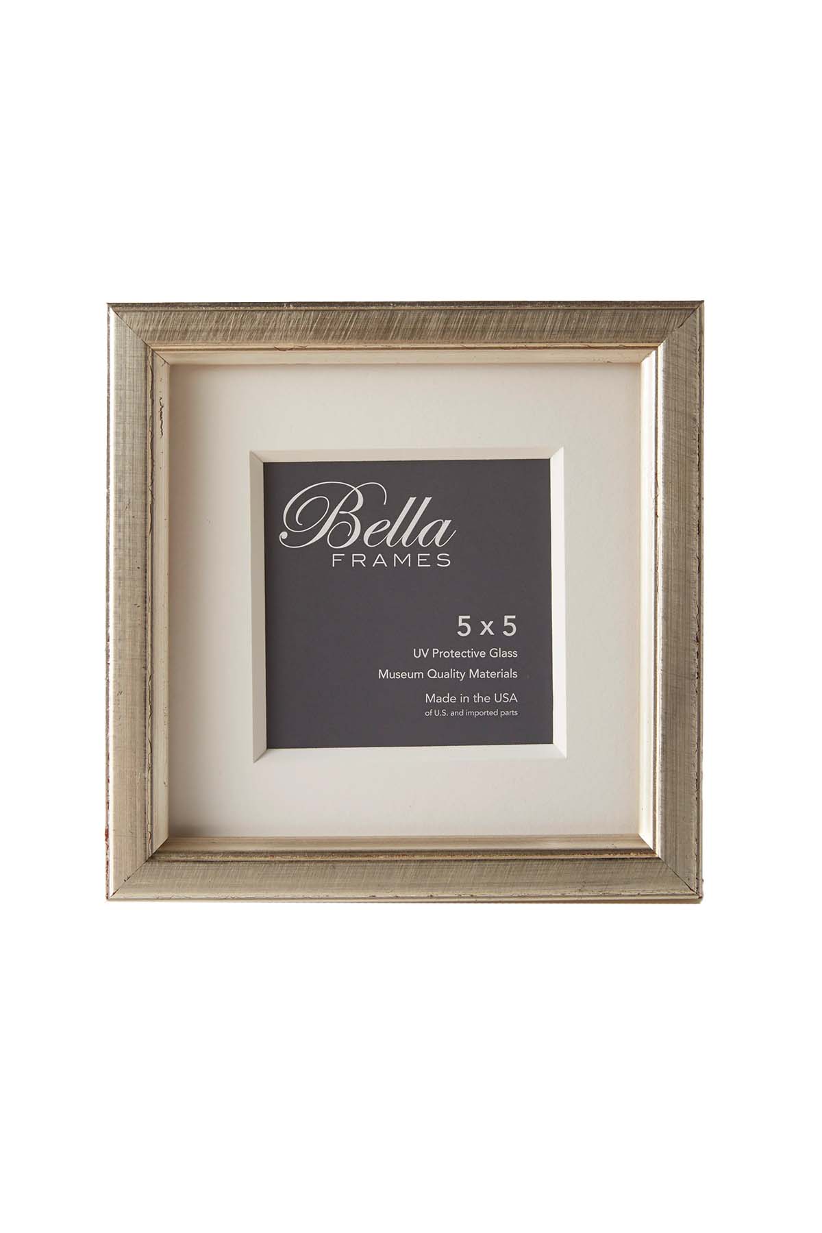 Brancusi Platino Silver tone 5x5 frame - front view