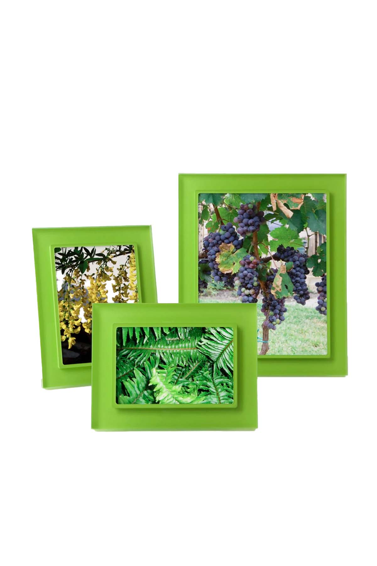 Kermit Prisma – Artists Frame Service