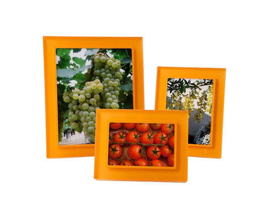 Several Tangerine Orange Prisma Frames, of multiple sizes and shapes, with fruit and veggies framed inside