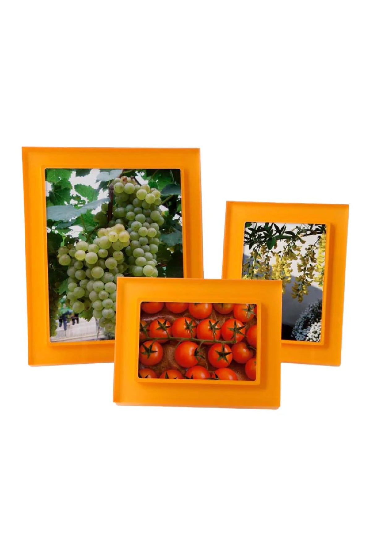 Several Tangerine Orange Prisma Frames, of multiple sizes and shapes, with fruit and veggies framed inside