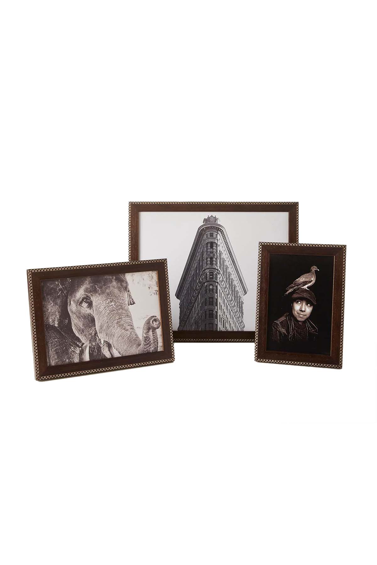 Grouping of Jax Brown frames of different sizes with Gold criss-cross detailing