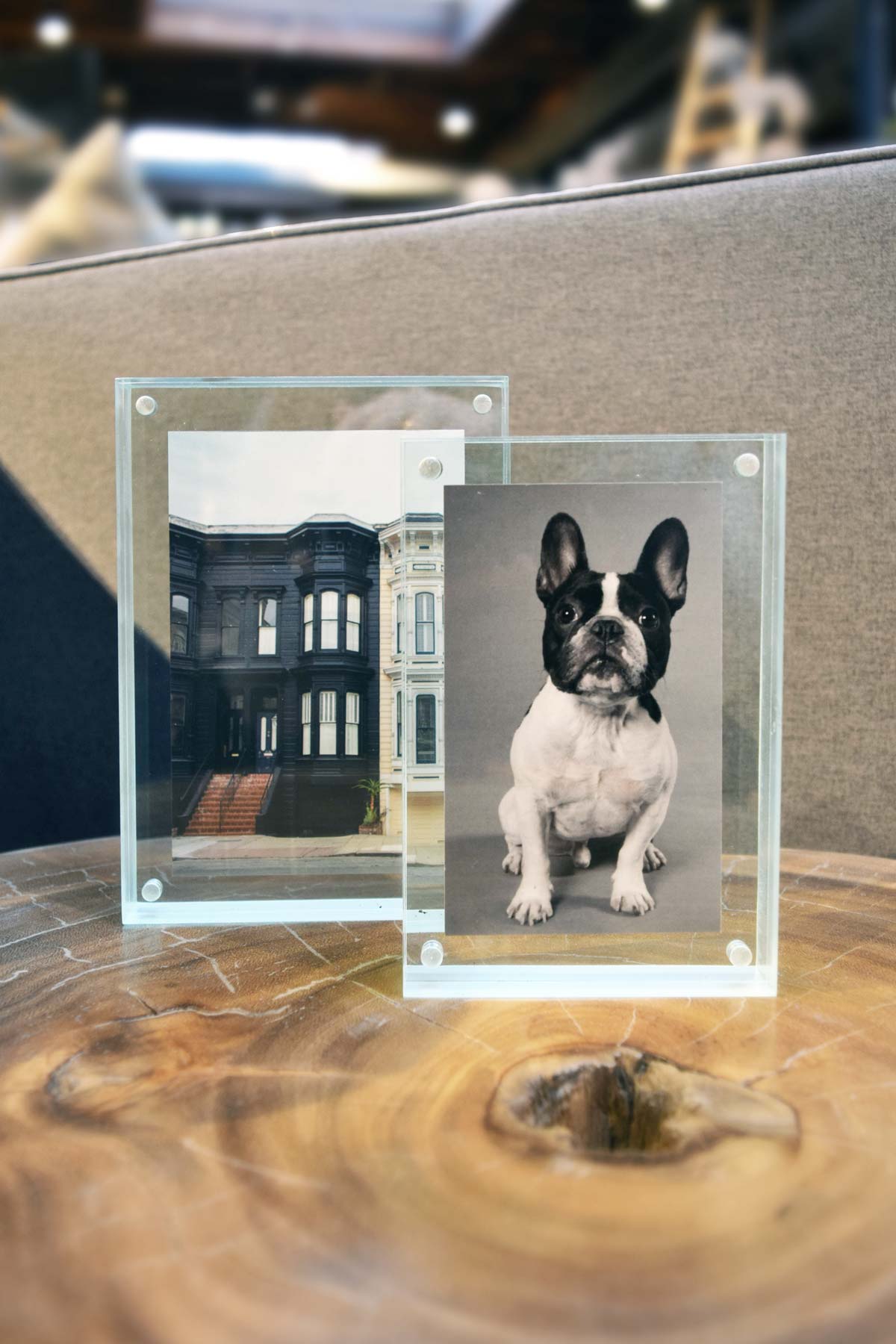 Priti Sea Clear Prisma frames with a dog and building inside, in a beautifully decorated space