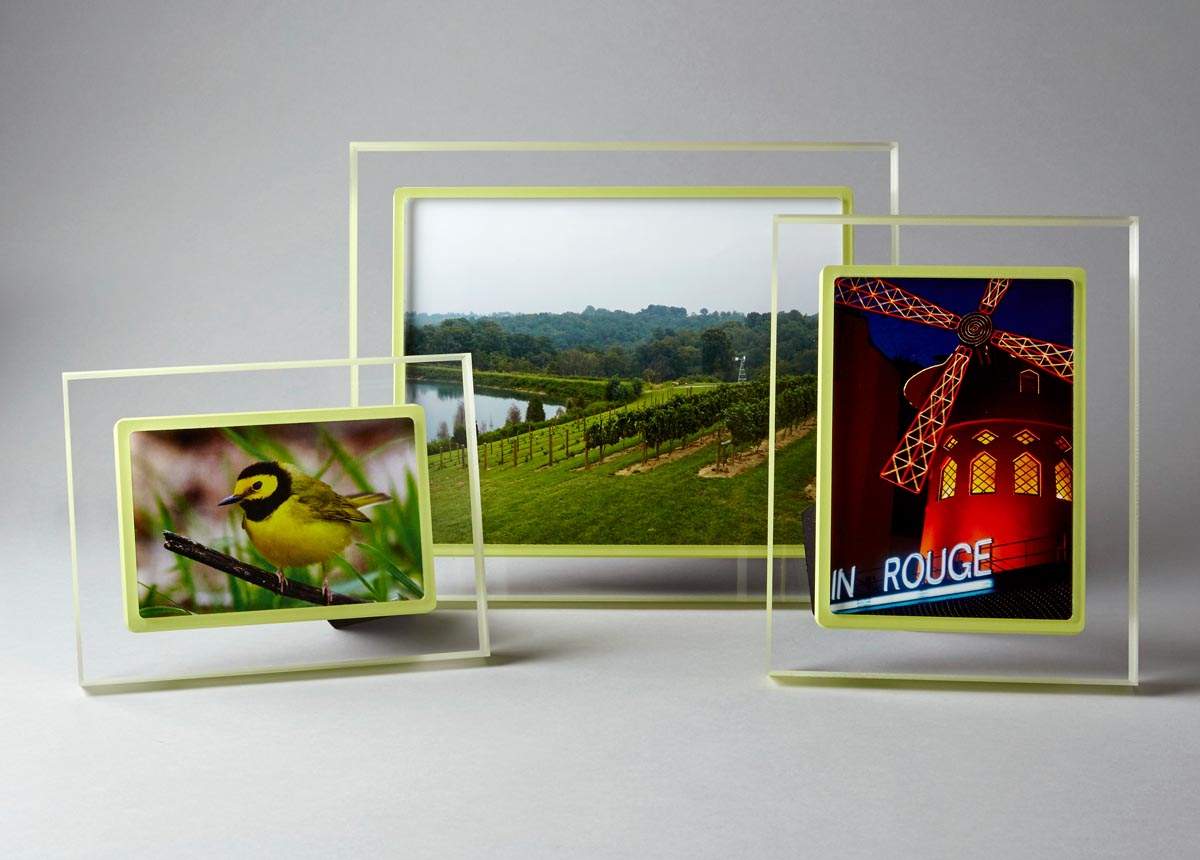Clear Circa Prisma frames of varying sizes with Celery accents, featuring travel, nature and wildlife photos