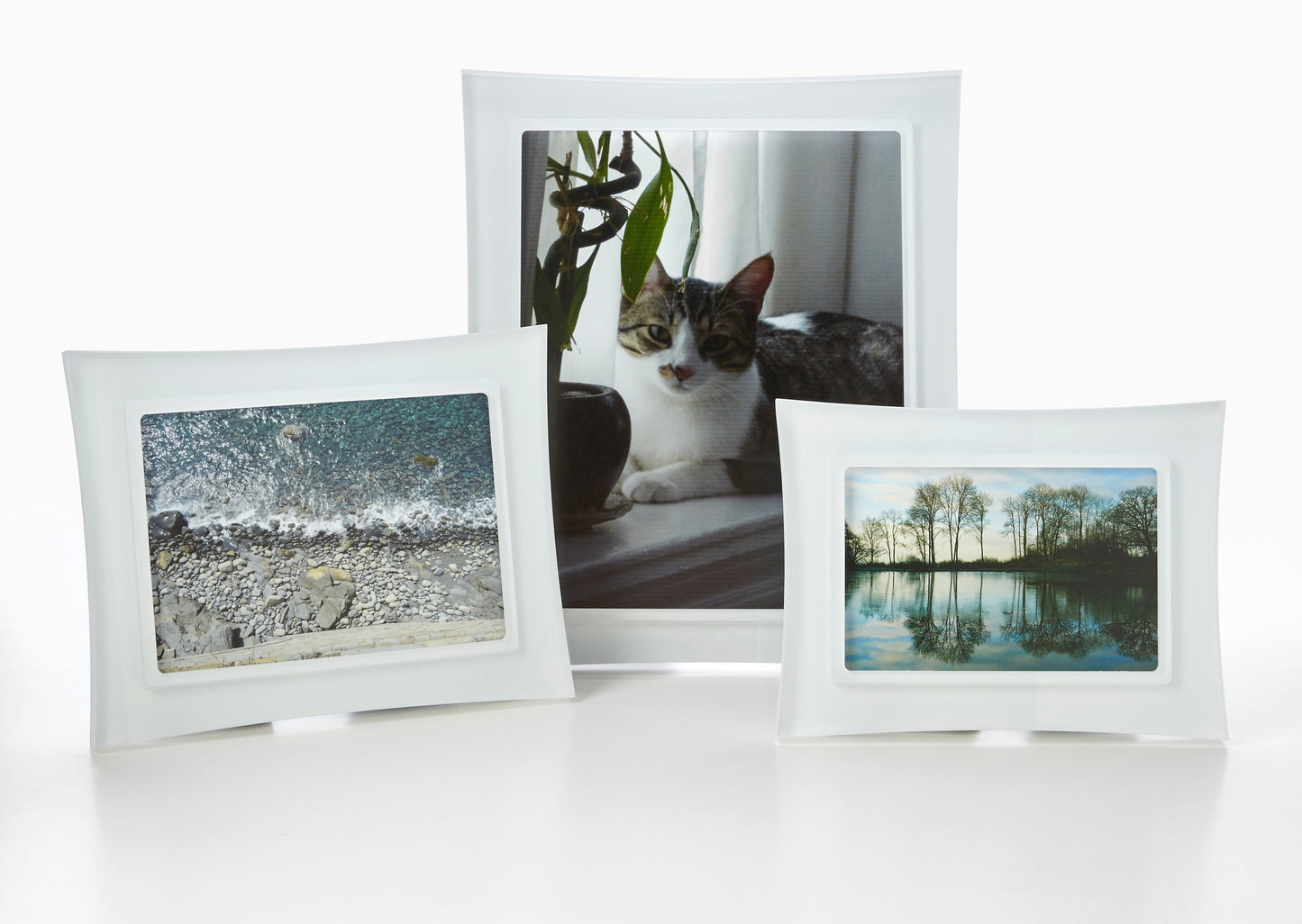 Risa Snow White frames with flared edges, grouping of multiple sizes and shapes with pretty nature and cat photos